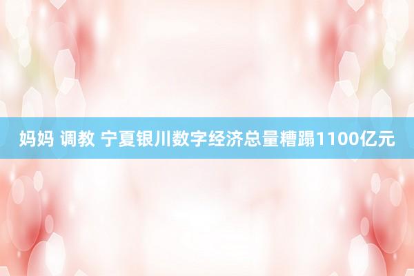 妈妈 调教 宁夏银川数字经济总量糟蹋1100亿元