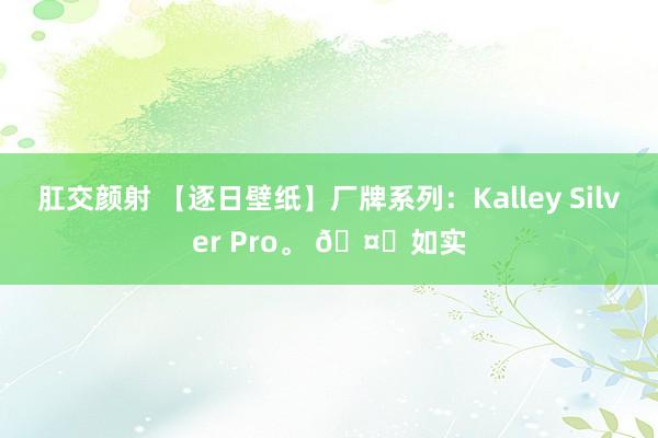 肛交颜射 【逐日壁纸】厂牌系列：Kalley Silver Pro。 🤔如实