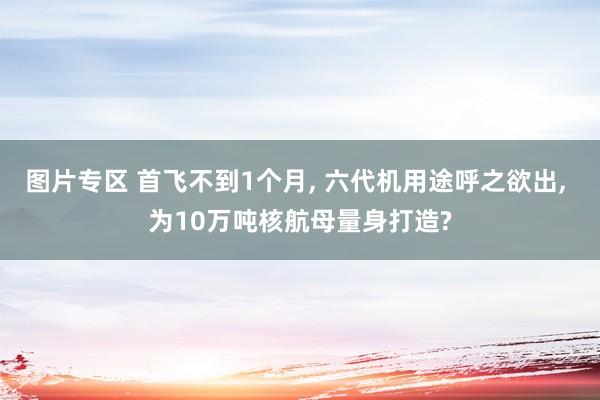 图片专区 首飞不到1个月， 六代机用途呼之欲出， 为10万吨核航母量身打造?